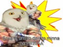 It's Olcadan, Bitches!
