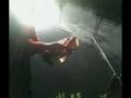 Meine Raubfische!!!(Esox)Hecht