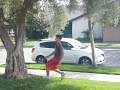 Treeflip Treeflip
