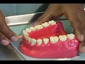 Take Charge of Your Oral Health Dental Health