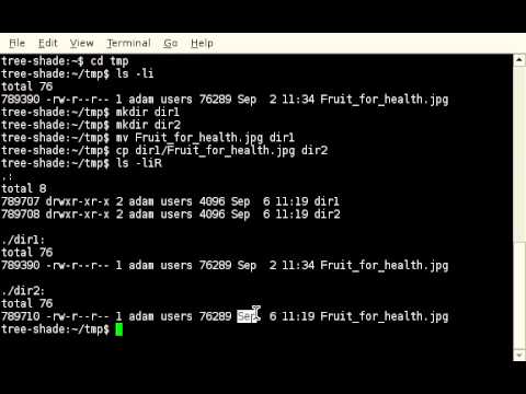 how to hard link in linux