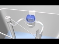 NEVERSCRUB ANIMATION VIDEO.mp4