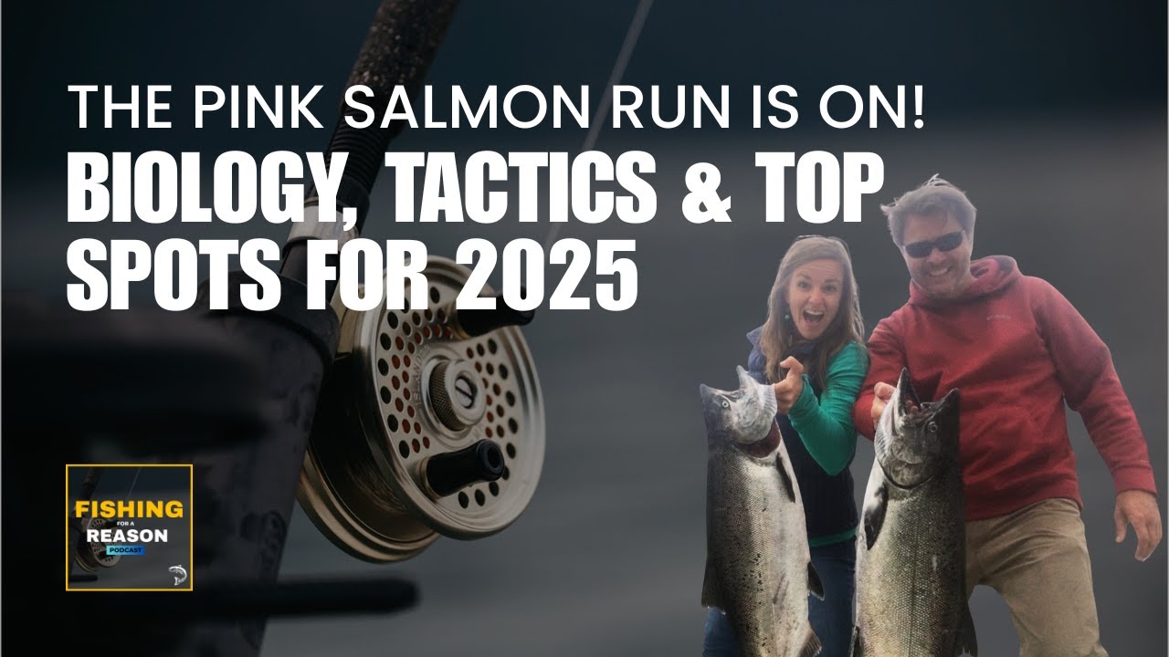 The Pink Salmon Run Is ON! Biology, Tactics & Top Spots for 2025
