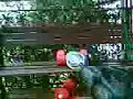 M4 Socom DBoyi M4 Socom DBoyi
