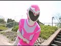 Pinkborg