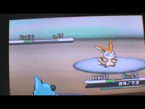 how to get victini in pokemon white