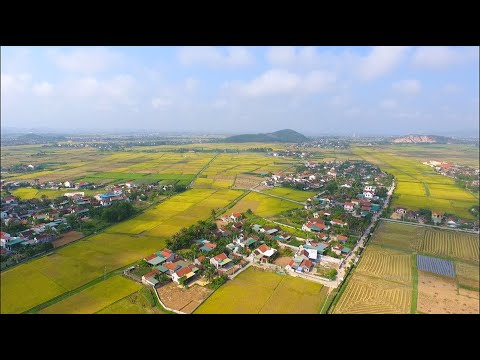 Giới thiệu về xã Diễn Hoàng