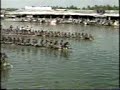 Nehru Trophy Boat Race