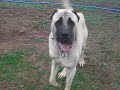 Bizim-CARLOS-14-Ayl-