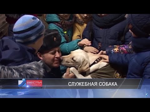 Вести Барановичи 16 января 2018.