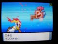 ??? vs ??- Pokemon DP Wi-Fi battle movie ??? vs ??- Pokemon DP Wi-Fi battle movie