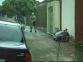 jackass em rep kataputa