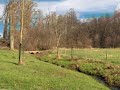 Natuurbumper 1/3
