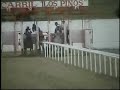 carrera el tarahumara vs el lobo namiquipa chih  mex