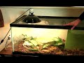 How to Set Up a Terrarium : How to Heat a Terrarium How to Set Up a Terrarium : How to Heat a Terrarium