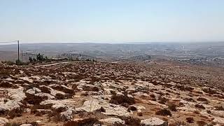 #الخليل مراح البقار المطلة على بلدة المجد في دورا