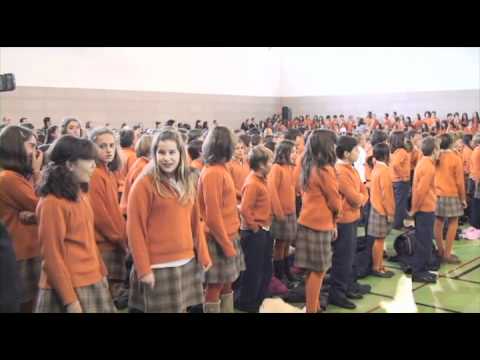 Imagen de previsualización de YouTube