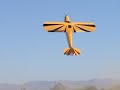 Tucson Aerobatic Shootout 2008 Bill Hempel Round 1 - Freestyle 50% J-3 Cub