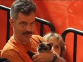 Wilbourn: Free consultation with the cat therapist.