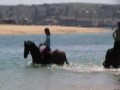 Smartie Goes Swimming x