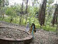 Muthalamada station, Palakkad, Kerala