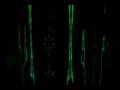 videos de Colorado widescreen.wmv