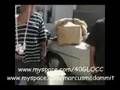 LIL WAYNE BLOOD CHAIN SNATCH BY CRIP 40 GLOCC VILLAGE BOO