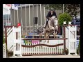 ** SOLD ** Horse : 4yrs. HUNTER prospect, Dutch Warmblood ** SOLD ** Horse : 4yrs. HUNTER prospect, Dutch Warmblood