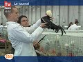 Tours : Euro Gusto 2009 : Pour une alimentation plus saine