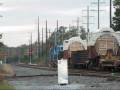 NS 054 - Duel SD50's with GREAT RS-3L