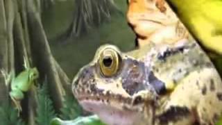 أسماء الله الحسنى