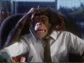 Monkey-ed Movie: Jerry Maguire