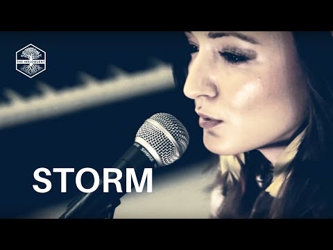 The Ineloquent - Storm