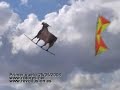 El Torito Guapo - Hnos. Molina. El Torito Guapo - Hnos. Molina.