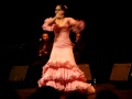 кадр из видео фламенко
