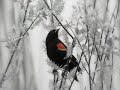 Clary Croft is a wonderful Nova Scotia tenor, who deserves greater recognition. This is his rendition of 