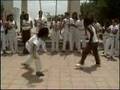 Ver Video