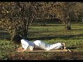 Hatha Yoga asanas - il saluto al sole  -