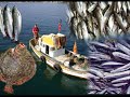 ORDU PER?EMBE RES?MLER? SLAYTI -6 ORDU PER?EMBE RES?MLER? SLAYTI -6