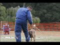 French Ring Decoy
