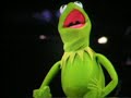 Kermit at the Hollywood Bowl