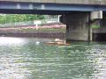 2009-08-05 | the last rowing of ishikawa sempai!part 2 ~> ishikawa sempai!!:( (0:28)