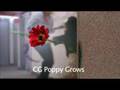 videos de Poppy 2