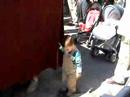 traslado perdon y misericordia motril part 5