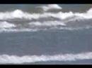 Zoom test en la playa Zoom test en la playa