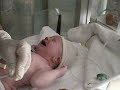 Jasper a few minutes after being born