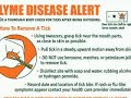 Lyme Disease