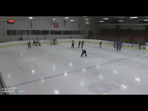 #16 White - Goal vs. Swift Current - 2019-2020 Season