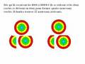 cercles d'abondance
