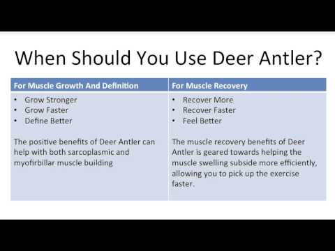 how to harvest deer antlers